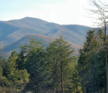 Fall View at Once Upon A Mountain Bed & Breakfast